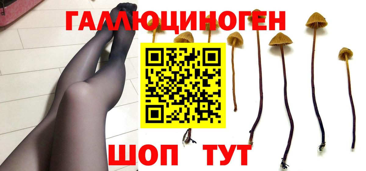 Псилоцибиновые грибы Cubensis  Вход с VPN  Партизанск 
